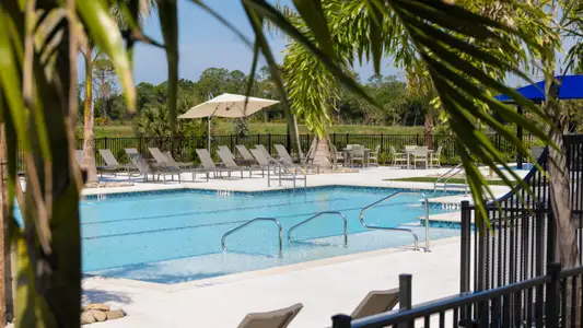 Vistera of Venice by Neal Communities in Nokomis - image 11
