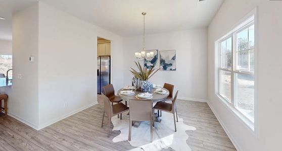 Portrait Hills by Hurricane Builders in Aiken - image 3