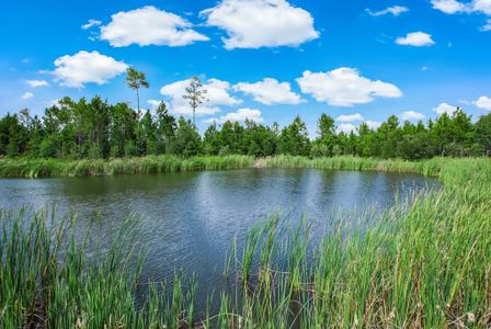 Sandy Creek by SEDA New Homes in Saint Augustine - photo 8 8