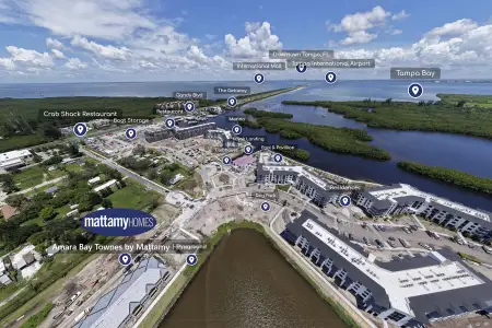 Amara Bay Townes by Mattamy Homes in St. Petersburg - image