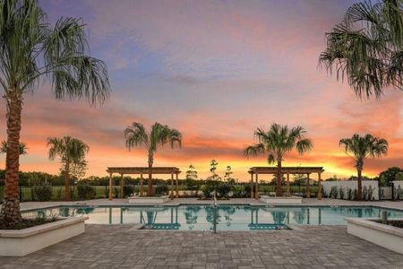 Waterset - Master planned community in Apollo Beach, FL 46 46