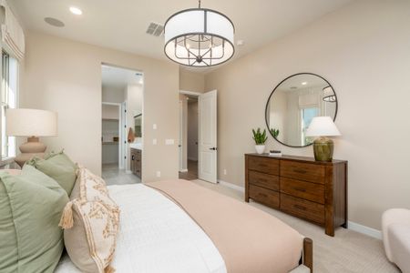 Trovita at Citrus Park 18