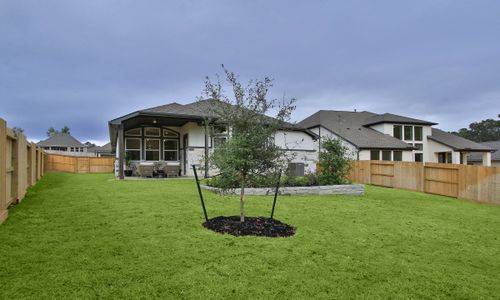 The Woodlands Hills by Brightland Homes in Willis - photo 9 9