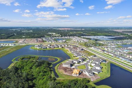 Berry Bay by M/I Homes in Wimauma - photo 6 6