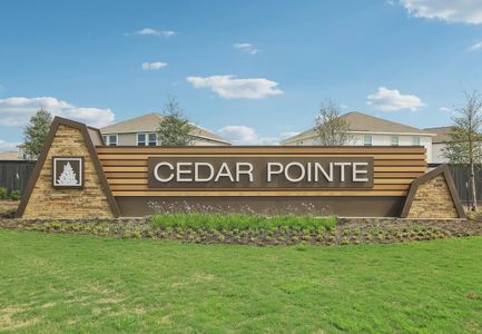Cedar Pointe by Starlight Homes in Crosby - image