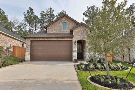 The Woodlands Hills - Master planned community in Willis, TX 23 23