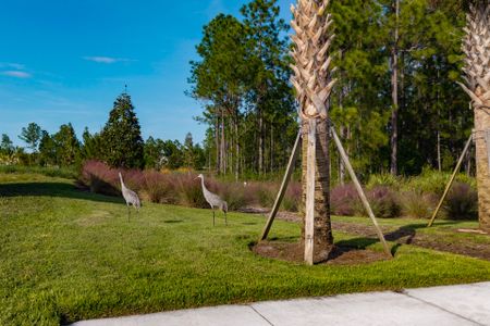 Trinity Gardens by Trinity Family Builders in Deland - image 14