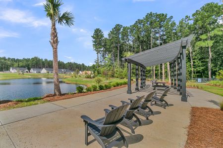 Hammock Walk at Nexton by Ashton Woods in Summerville - image 7