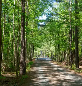 Summit At Homestead by Tri Pointe Homes in Chapel Hill - image 8