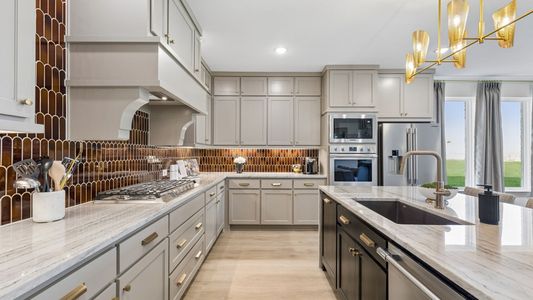 Rainwater Crossing by Normandy Homes in Celina - image 9