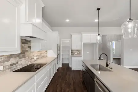 The Ranches at Valley View by Doug Parr Custom Homes in Springtown - image 2
