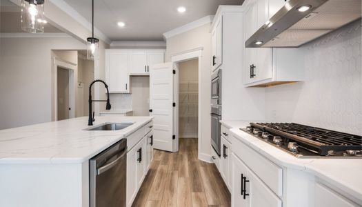 Garland Meadows by Chafin Communities in Cartersville - image 9