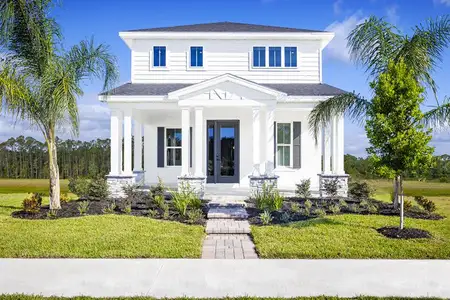 Lake Mattie Preserve Single-Family by Ryan Homes in Auburndale - image 3