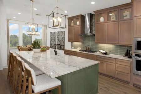 Wolf Ranch West Bend - 60' by Drees Custom Homes in Georgetown - image 9