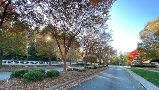 Irish Creek by Niblock Homes in Landis - photo 3 3