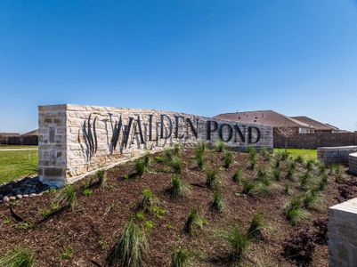 Walden Pond by Rockwell Homes in Forney - image 15