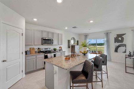 Oak Pointe by D.R. Horton in Apopka - photo 44 44