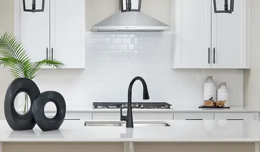 Tanterra by Richmond American Homes in Parker - image 6