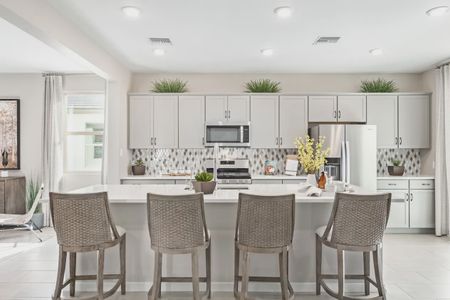 Camilo at Santana by Elliott Homes in Yuma - image 5
