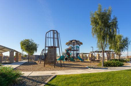 Tierra at Legado West by David Weekley Homes in Queen Creek - image 11