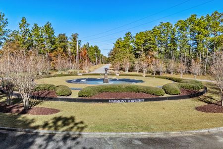 Harmony Township by Hunter Quinn Homes in Georgetown - photo 6 6