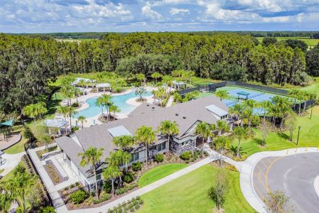 K-Bar Ranch Gilded Woods by M/I Homes in Tampa - photo 9 9