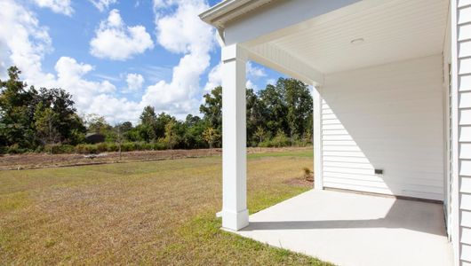 Angeline Townhomes by D.R. Horton in Land O' Lakes - photo 4 4