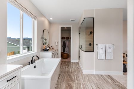 Trailstone Destination Collection by Taylor Morrison in Arvada - photo 141 141