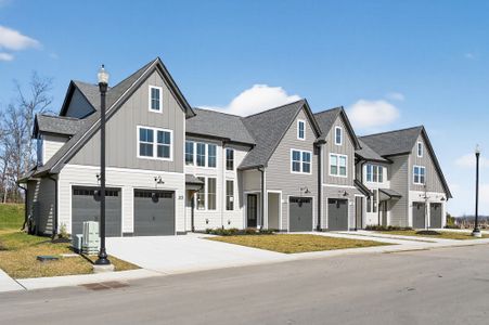 Tiger Hill Townhomes by DSLD Homes in Murfreesboro - image 5