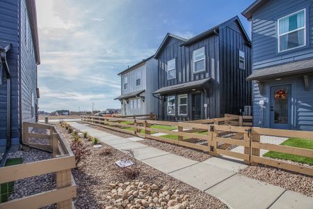 Bloom Cottages 39
