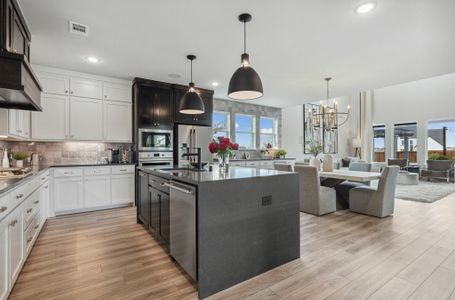 Windsong Ranch by Normandy Homes in Prosper - image 13