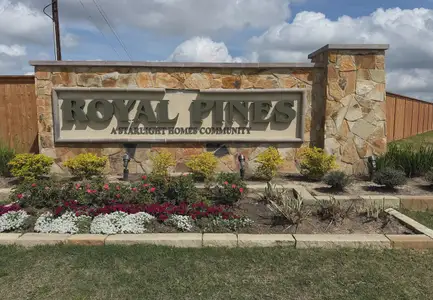 Royal Pines by Starlight Homes in Porter - image