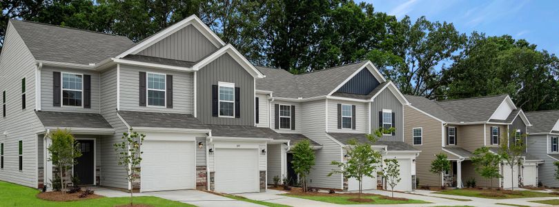 The Vines by Lennar in Charlotte - image