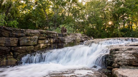 Meadowlark - Sapling Collection by Toll Brothers in Murfreesboro - image 14