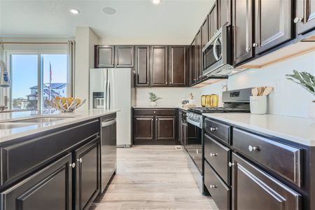 Paired Homes at Alder Creek by Century Communities in Parker - photo 14 14