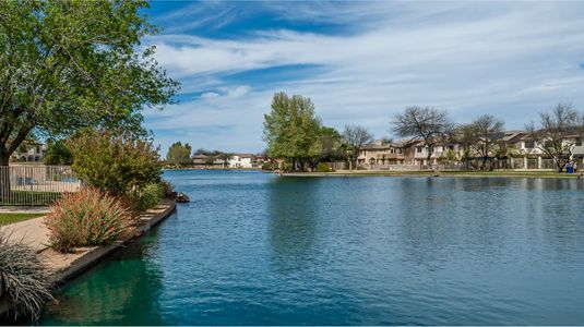 Rancho Sahuarita: Entrada Del Toro Saguaro Collection 20
