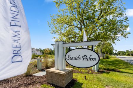 Seaside Palms by Dream Finders Homes in Sunset Beach - image 19