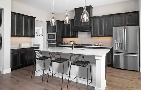 Discovery Collection at Painted Tree by Tri Pointe Homes in McKinney - photo 6 6