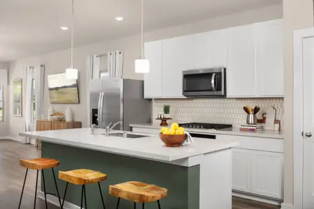 Heartland 40' by Coventry Homes in Heartland - image 8