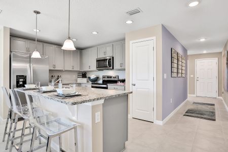 Lakewood Park by Dream Finders Homes in Deland - photo 15 15