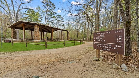 Station Pointe by DRB Homes in Angier - image 12