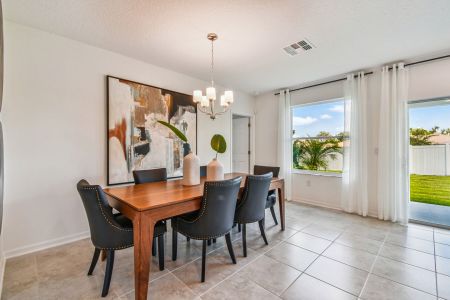 Berry Bay by M/I Homes in Wimauma - image 9