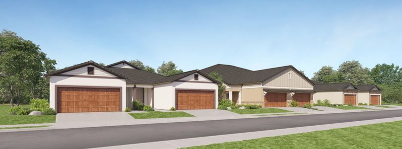 Prosperity Lakes Active Adult: Active Adult Villas 1