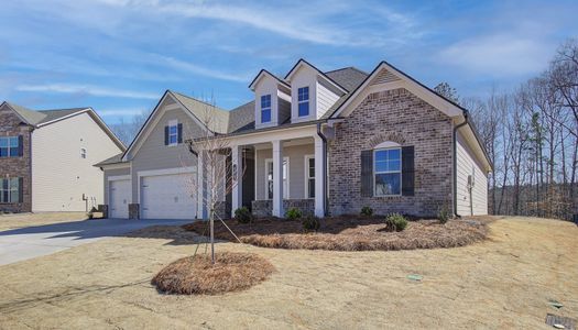 Overlook at Marina Bay by Chafin Communities in Gainesville - photo 21 21