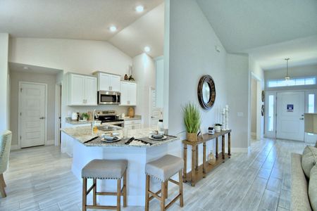 Cadence Crossing by Adams Homes in Auburndale - photo 12 12