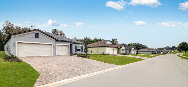 Juliette Falls by Lennar in Dunnellon - image