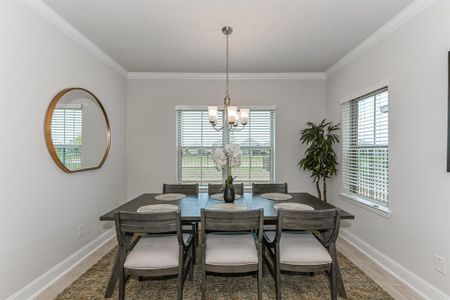 Sunterra by Adams Homes in Katy - photo 16 16