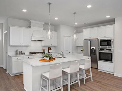 Villas at Carpenter Woods by Davidson Homes LLC in Durham - image