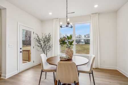 Lancaster Hwy by Caruso Homes in Waxhaw - image 18