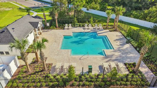 Twin Oaks by DRB Homes in Zephyrhills - image
